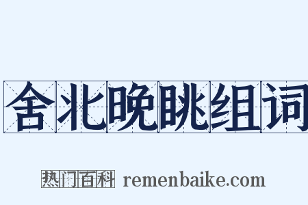 舍北晚眺组词是什么意思的图片